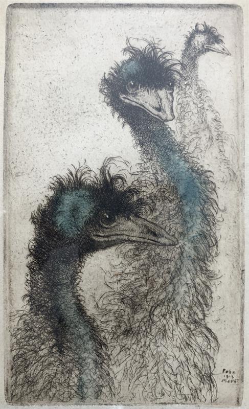 Philipp Martin Erich (MEPH): Neuholländische Kasuare III. 1