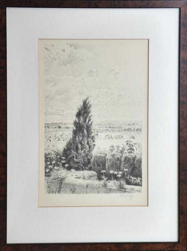 Max Švabinský (1873-1962) - Túje v Chodově