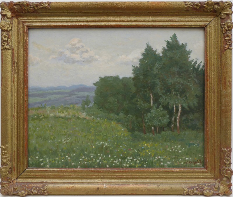 Krepčík Jaroslav - Kvetoucí louka u remízku