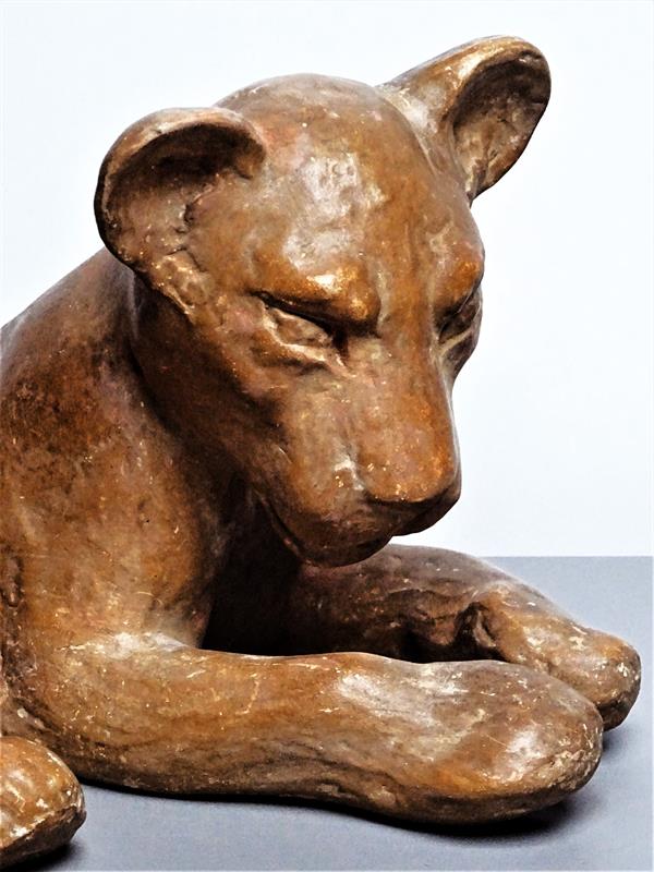 Duras Mary, lvíče 1950