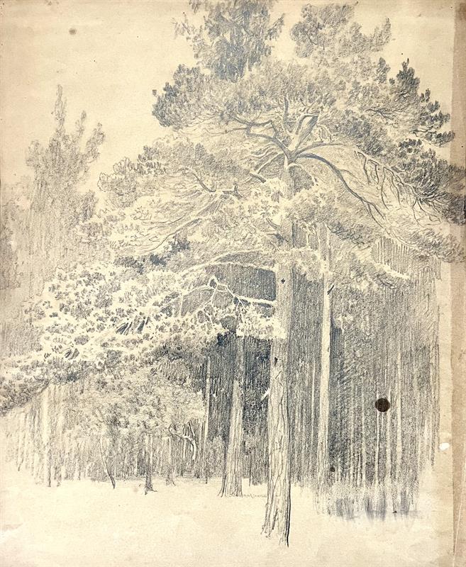 Václav Jansa: Les (kresba)