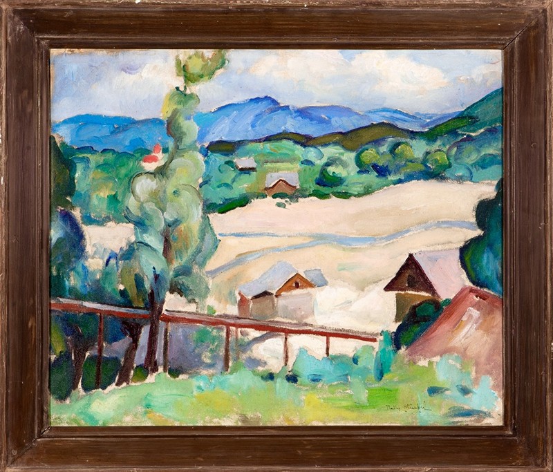 Nelly (Cornelie) Stiubei: Pestrá krajina