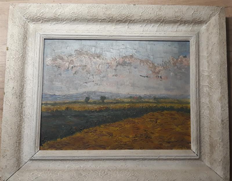 Obraz - krajina- pole -  olej