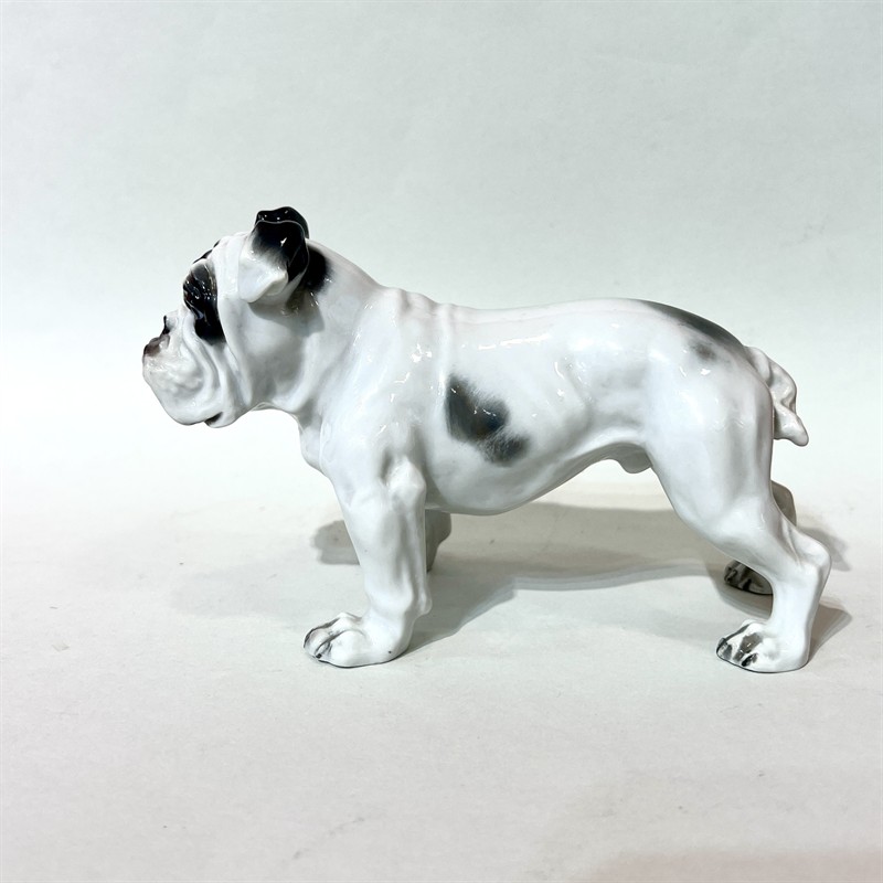 Rosenthal, Anglický buldok