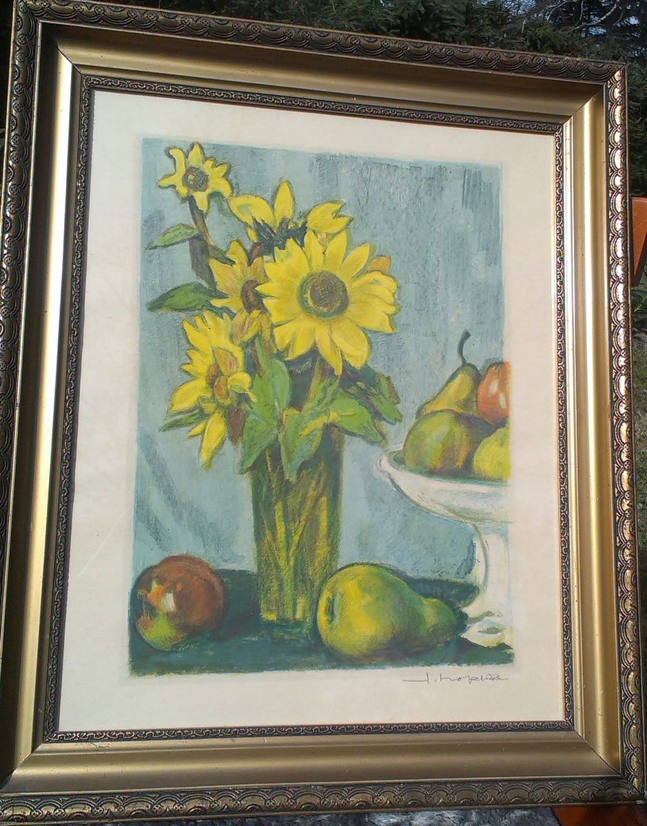 František Hoplíček, Slunečnice