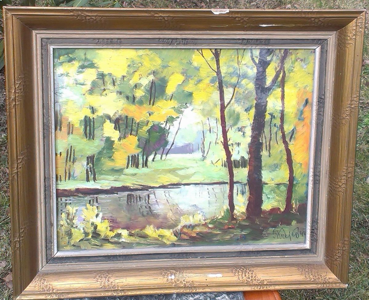 František Xaver Krejčí, Krajina