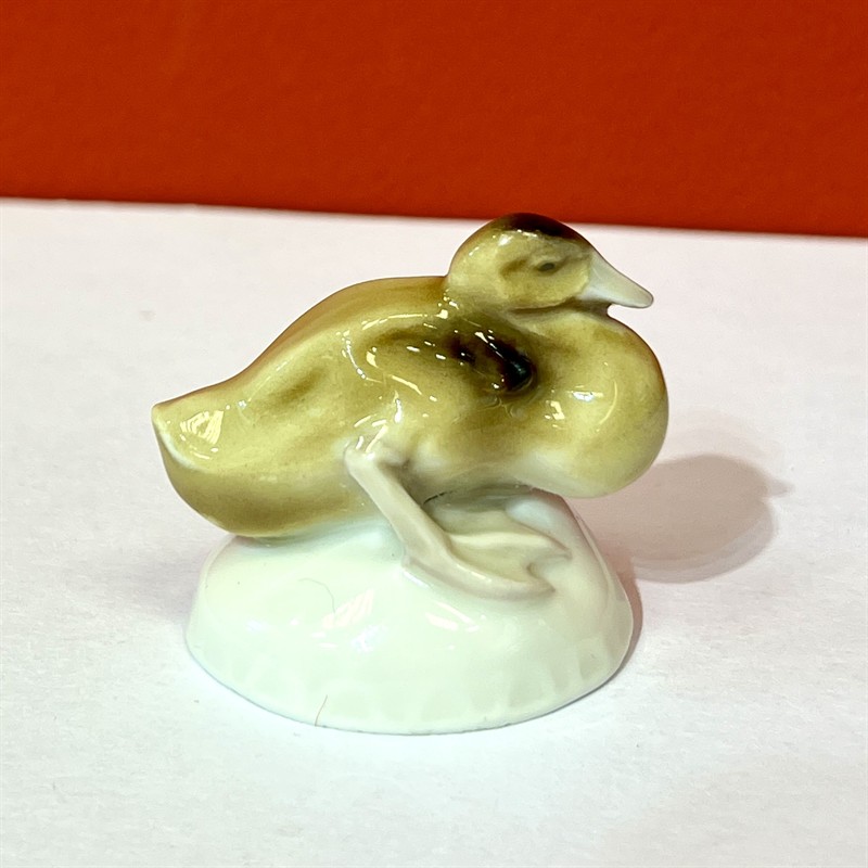 Míšeň, malá kachnička