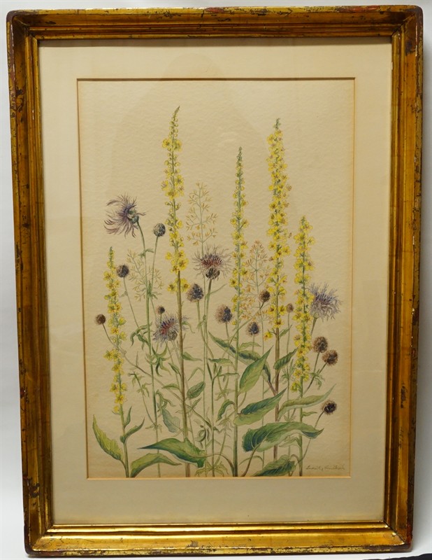 Studie lučních květin Ludvika SMRČKOVÁ kombinovaná technika