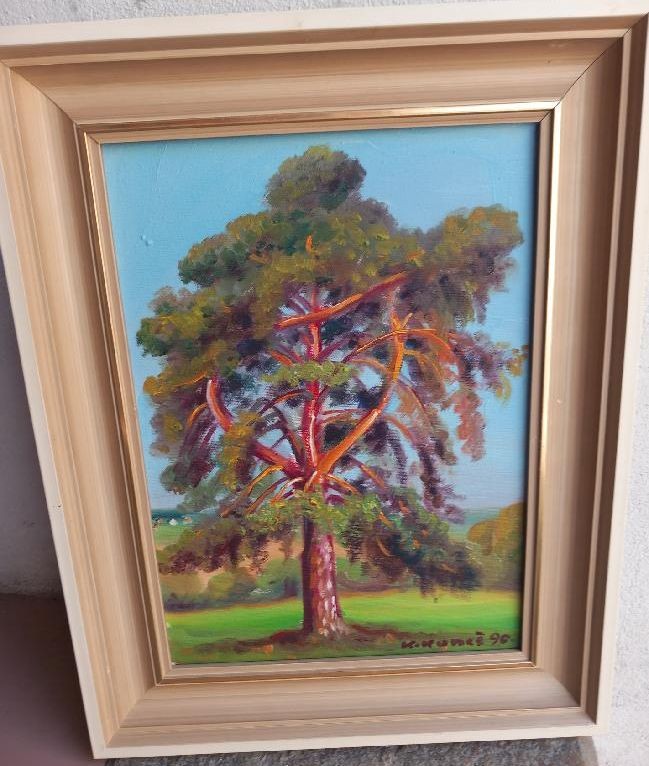 Borovice, Karel Kuneš rok 1990