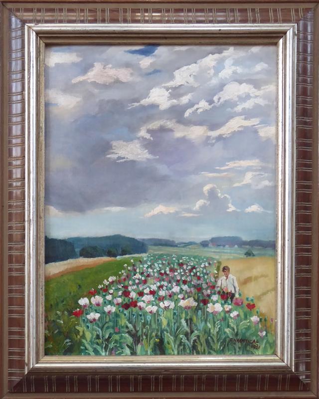 František Nachtigal - Mládenec u makového pole