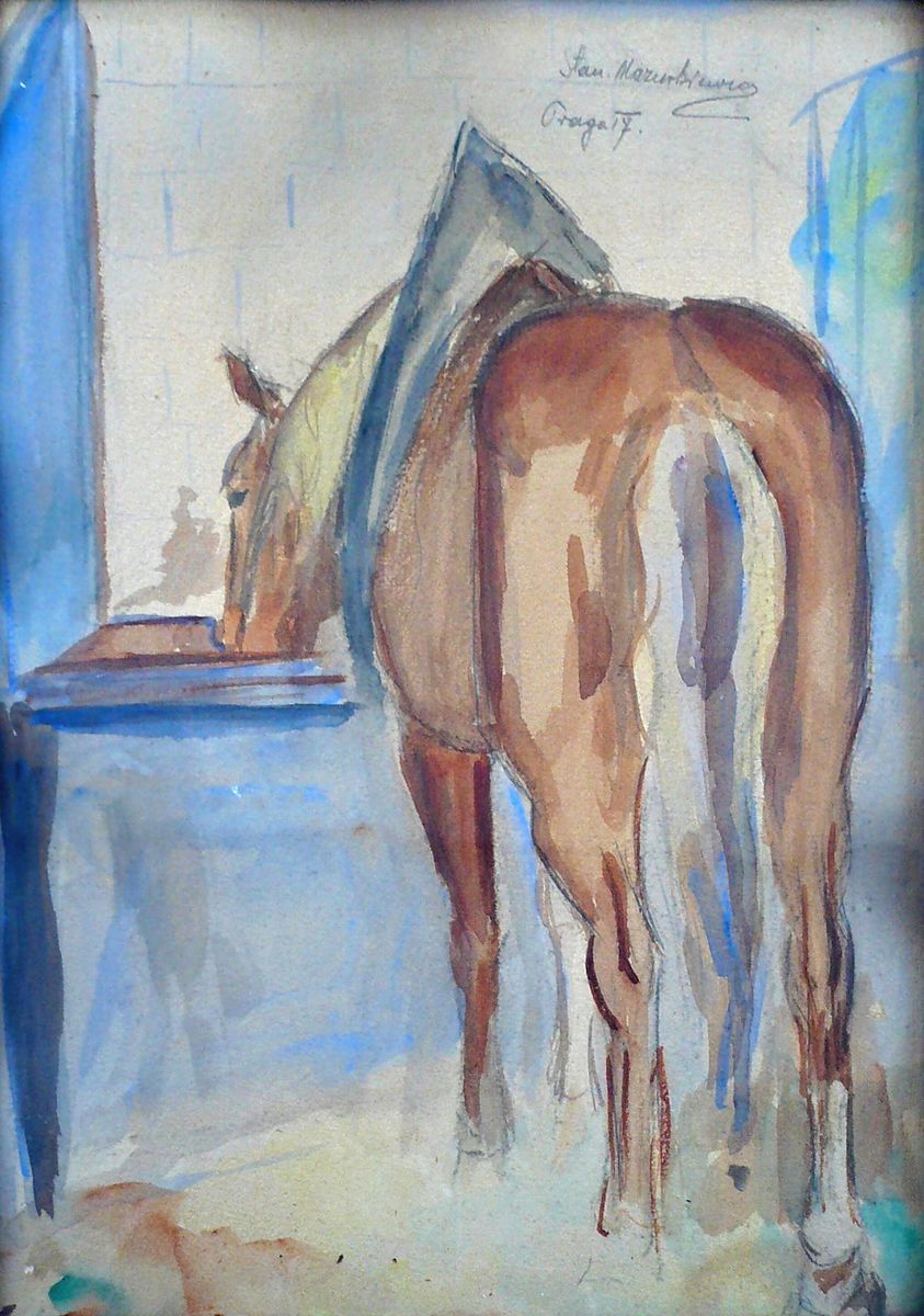 Stanislav Marek Mazurkiewicz - Kůň u žlabu