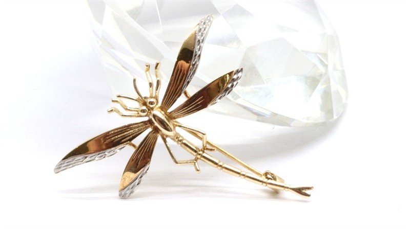 Zlatá brož - vážka