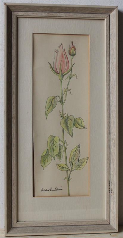 Ludvika Smrčková - Růže