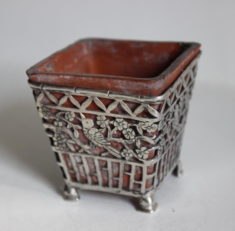 Květníček na kaktus