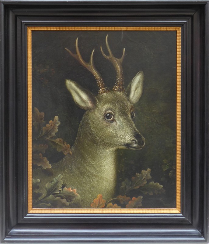 Hlava srnce s parožím - šesterák, křižák