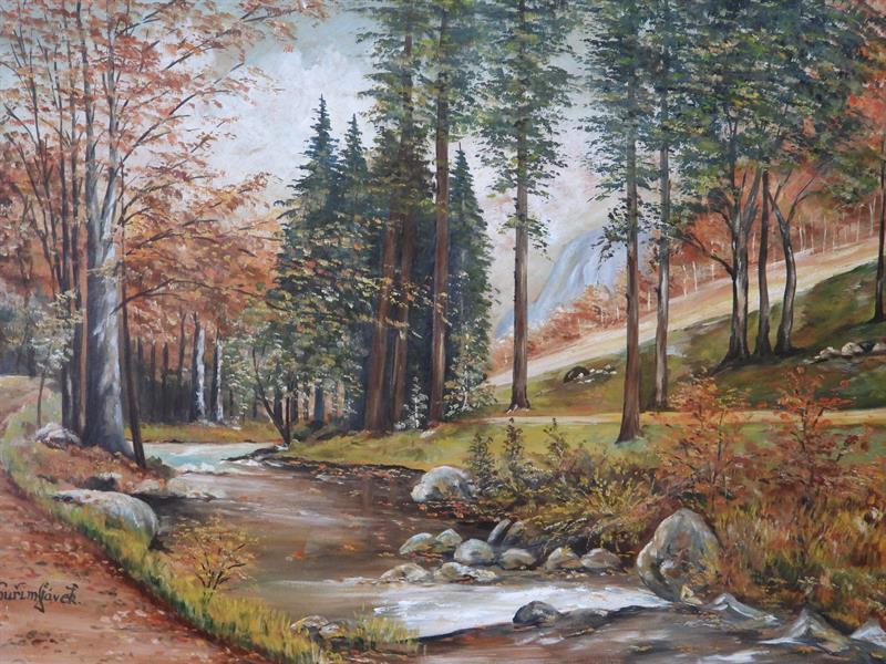 Kuřim Sl. - Lesní bystřina.