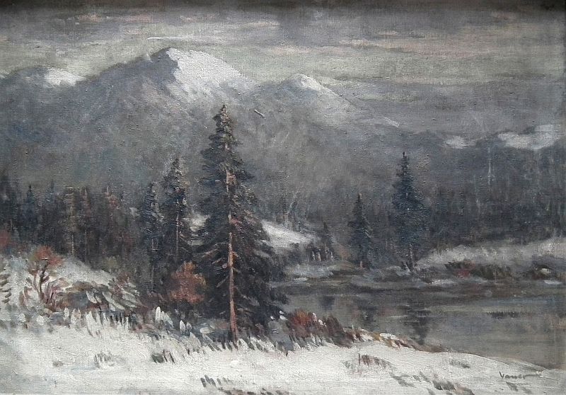 Bauer: Horské zimní štíty.