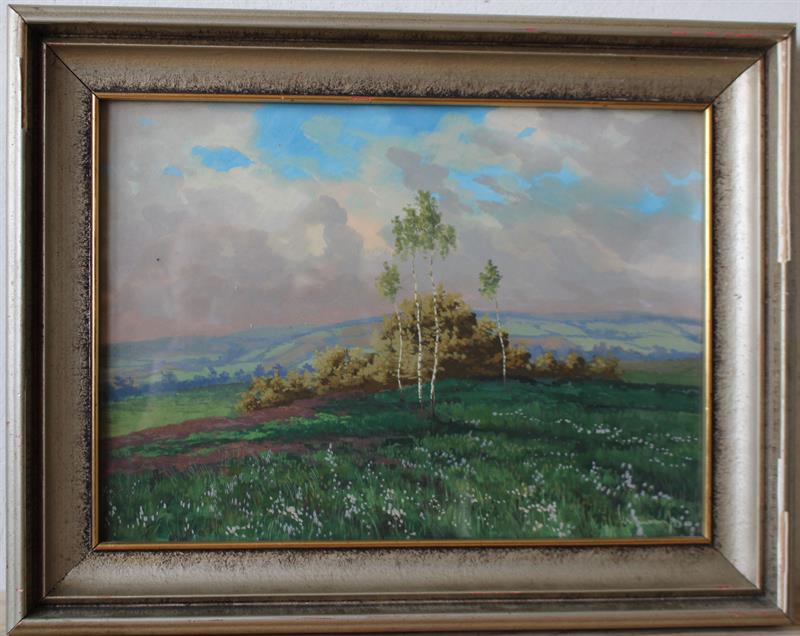 Josef Cerman - Kvetoucí louka