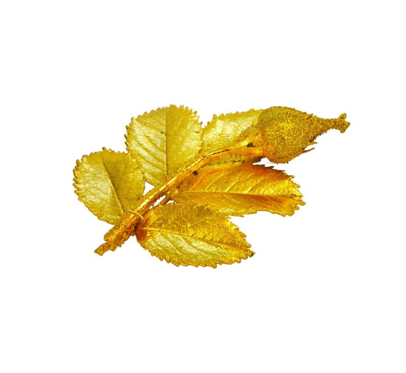 Pozlacená brož - větvička růže