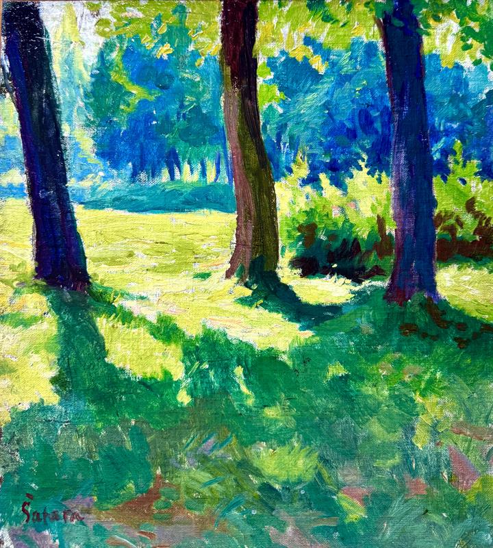 Jaroslav Šafařík-Šafara: Prosluněný park