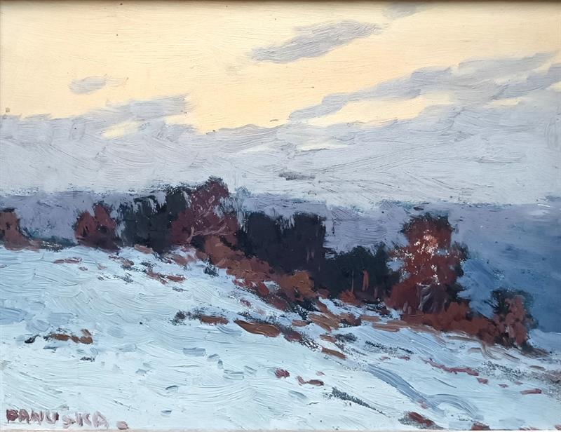 Panuška Jaroslav: Zima na Vysočině.