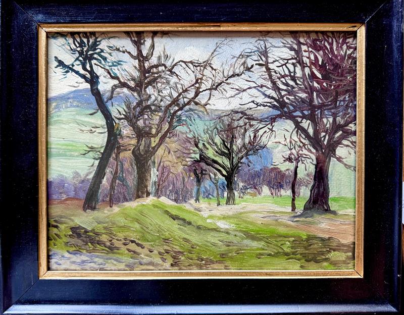 Neurčený autor: Stromová alej