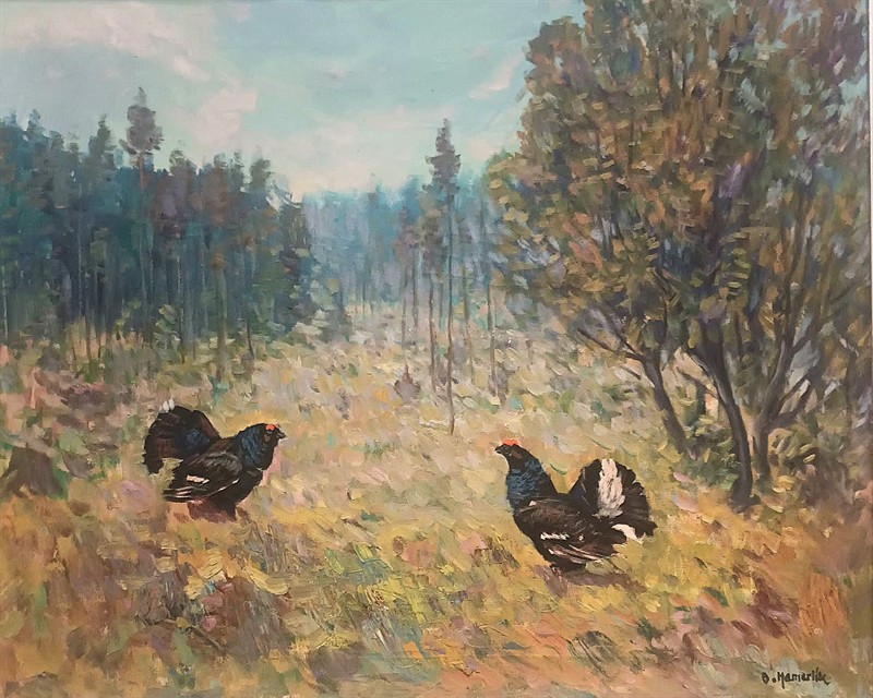 Otto Hamerlík: Tetřeví tok.