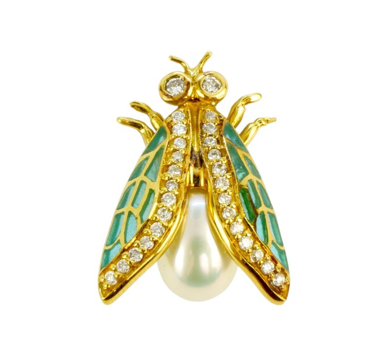 Zlatá brož - moucha