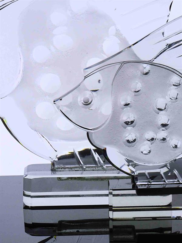 Ryba (vyšší verze), Curt Schlevogt, 30. léta