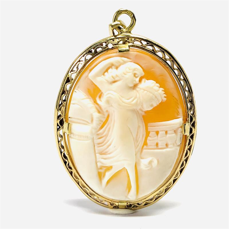 Zlatý závěs - kamej