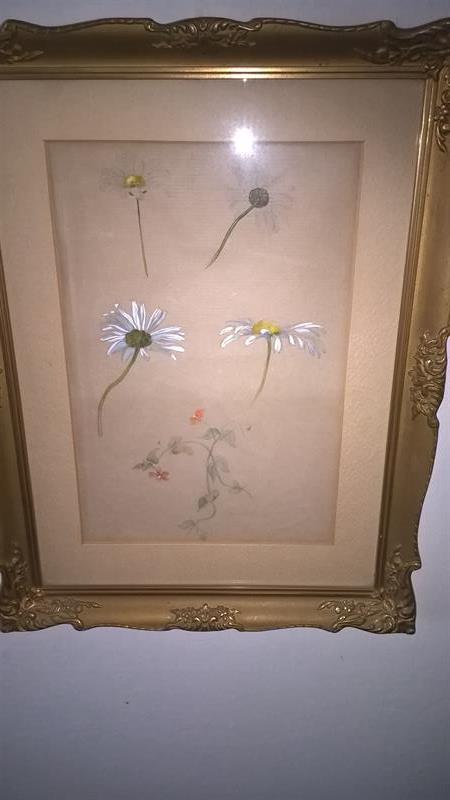 J. Mánes - studie květin