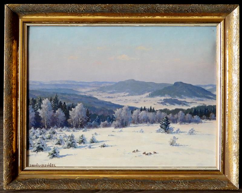 Daněk - Sedláček: Zimní krajina.