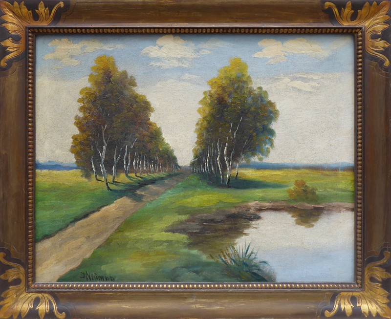 J. Neuman - Cesta mezi břízami