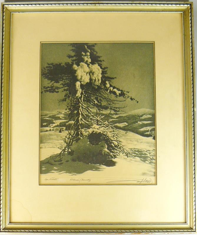 Josef Vaic, Krkonoše, Benecko