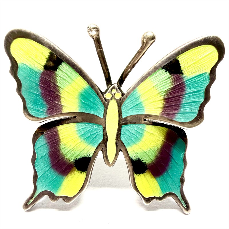 Stříbrná brož zdobená smalty