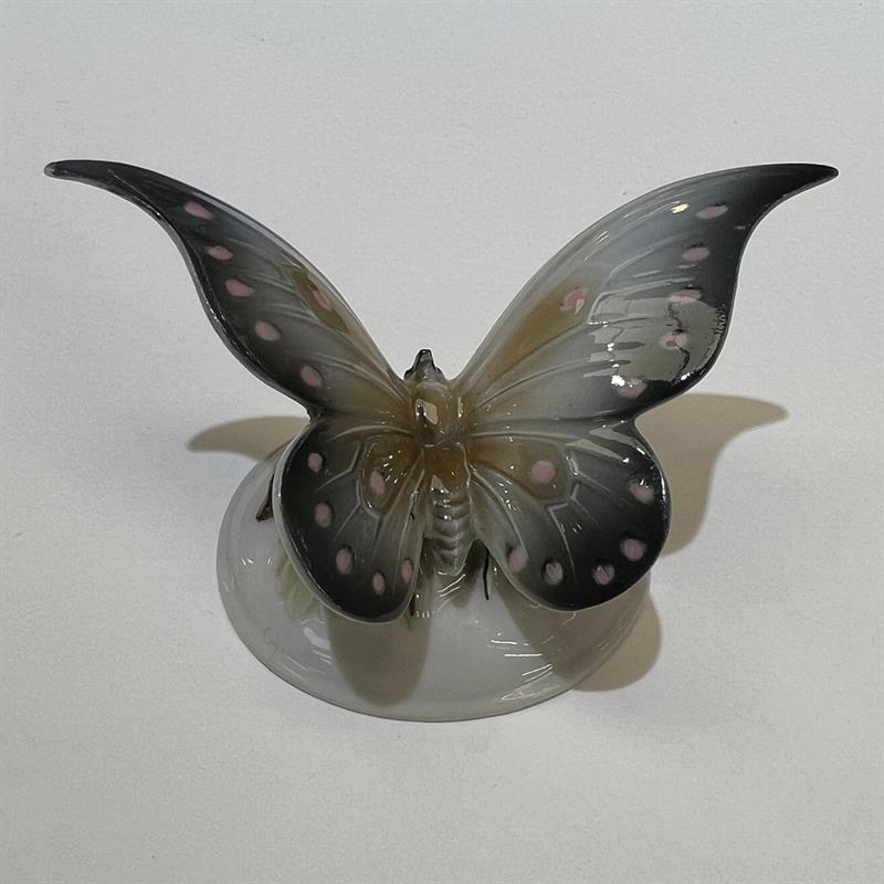 Porcelánový motýl, Rosenthal