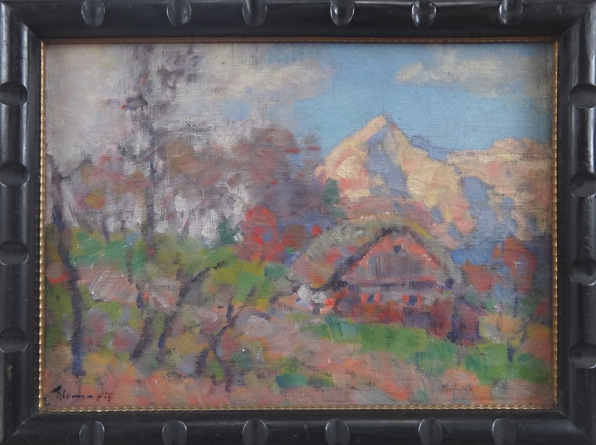 Letní horská krajina